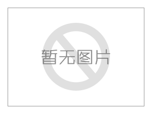 深圳首个应用双T板的高层工业及公共装配式建筑首批双T板成功吊装